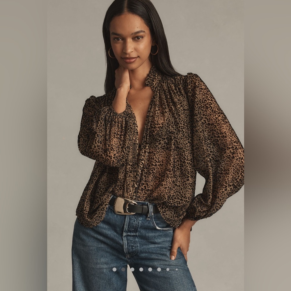Anthropologie Estela Sheer Printed Blouse